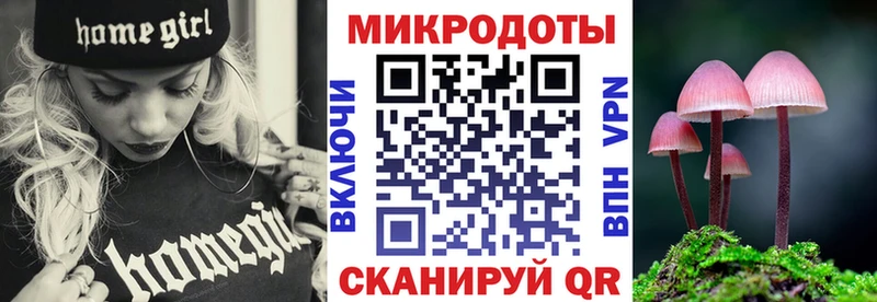 Галлюциногенные грибы Psilocybe  как найти закладки  Кувшиново 